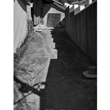 dailyPhoto39